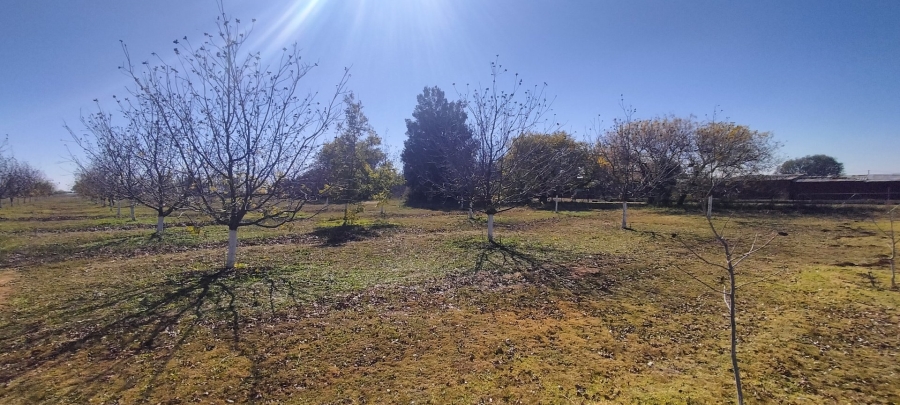 Commercial Property for Sale in Arcadia SH Free State